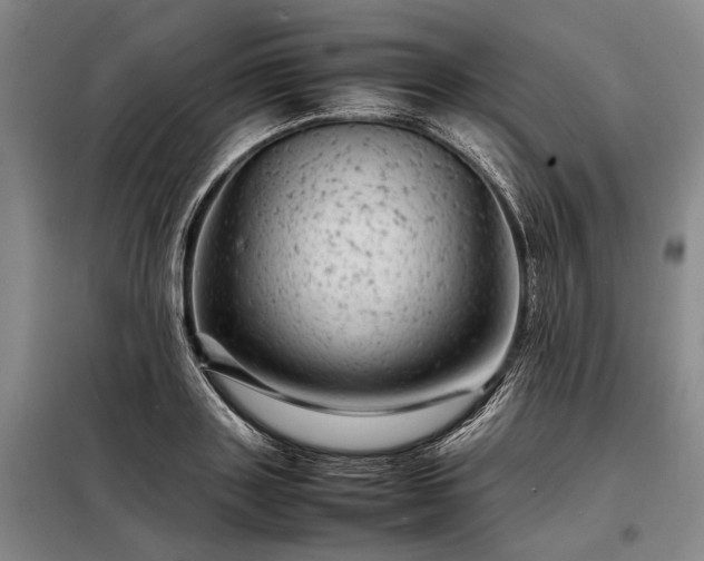 X0000098220843200805011232