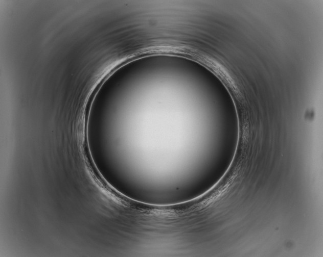 X0000098220844200805011232