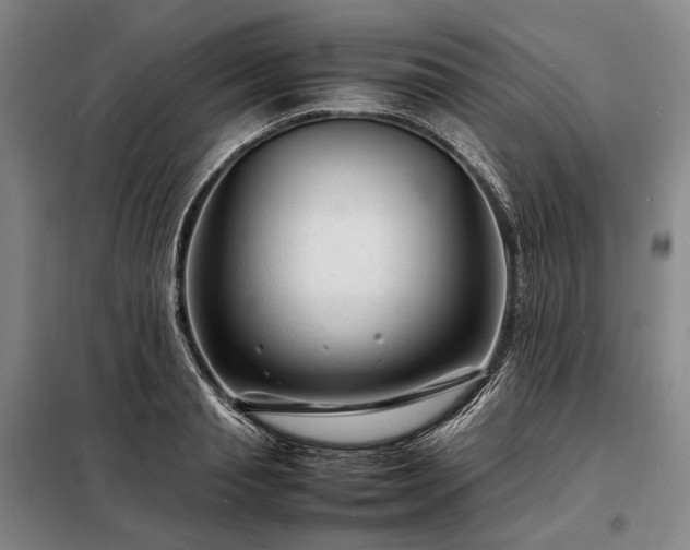 X0000098220845200805011232