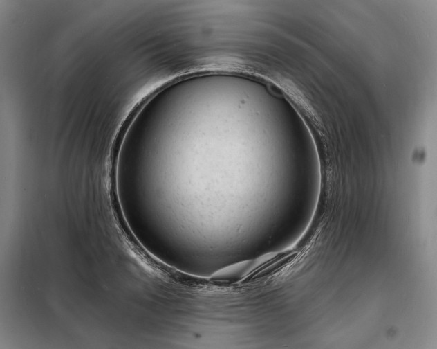 X0000098220846200805011232