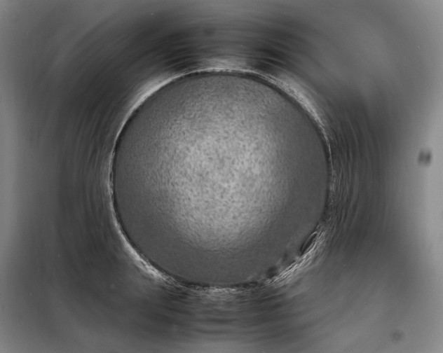 X0000098220847200805011232