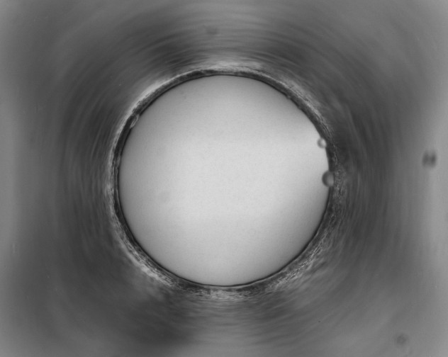 X0000098220848200805011232