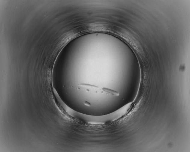 X0000098220849200805011232