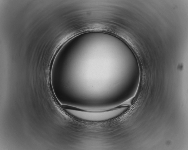 X0000098220850200805011232