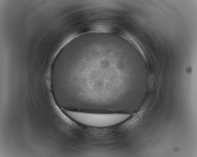 X0000098220851200805011232