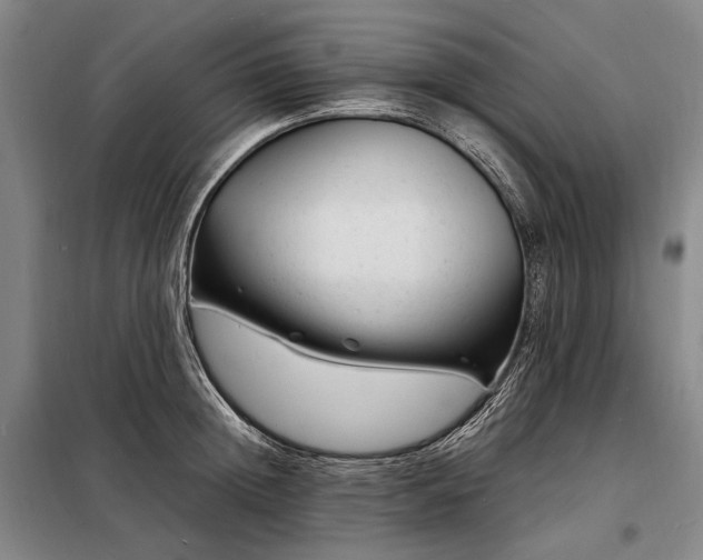 X0000098220852200805011232