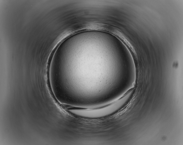 X0000098220853200805011232