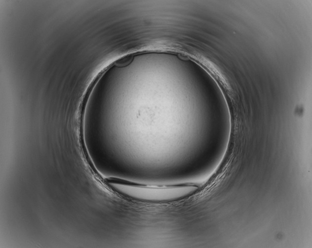 X0000098220854200805011232