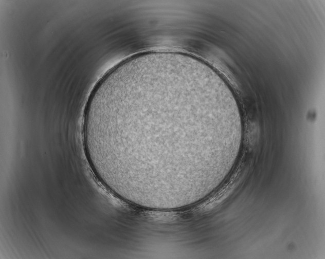 X0000098220856200805011232