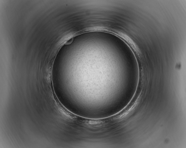 X0000098220857200805011232