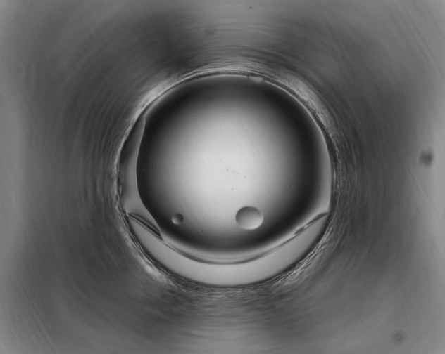 X0000098220858200805011232