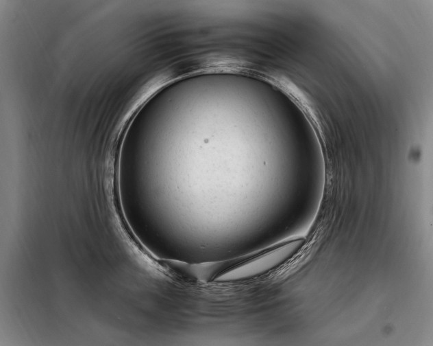 X0000098220859200805011232