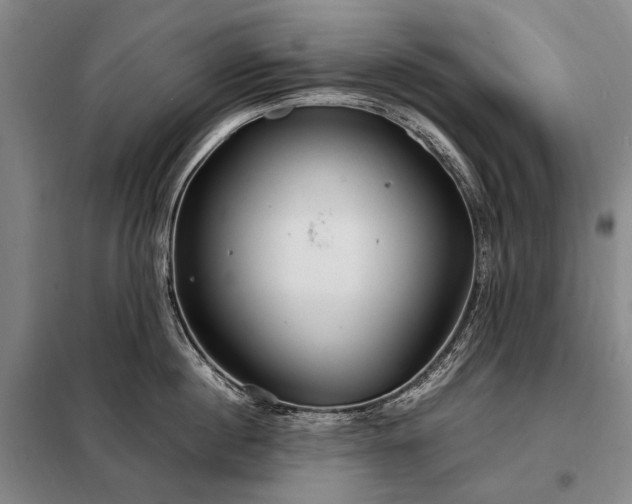 X0000098220860200805011233