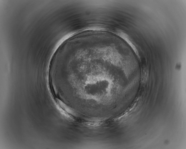 X0000098220861200805011233