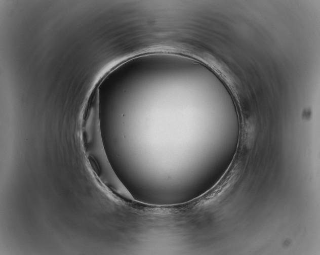 X0000098220862200805011233