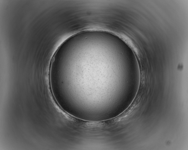 X0000098220863200805011233