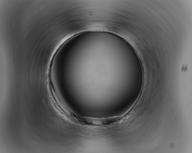 X0000098220864200805011233