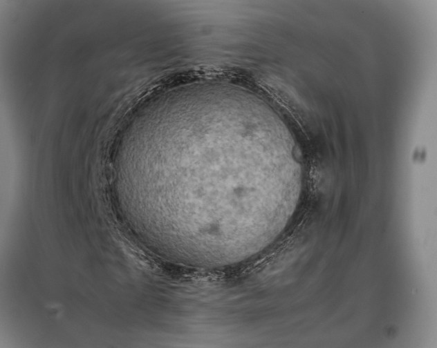 X0000098220865200805011232