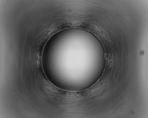 X0000098220866200805011232