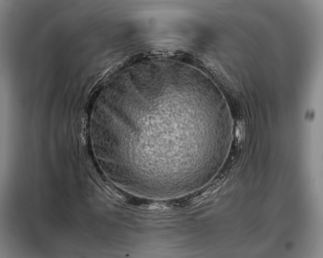 X0000098220867200805011232