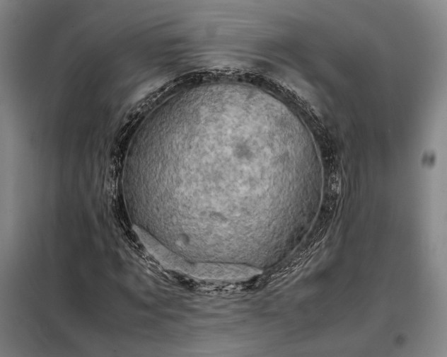 X0000098220869200805011232