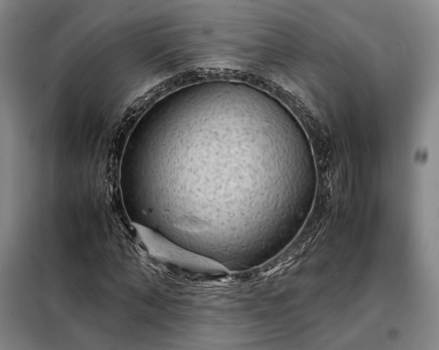 X0000098220870200805011232