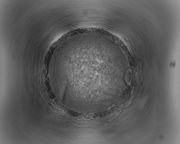 X0000098220871200805011232