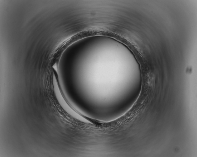 X0000098220872200805011232