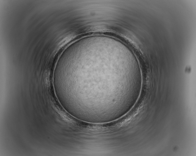 X0000098220873200805011232