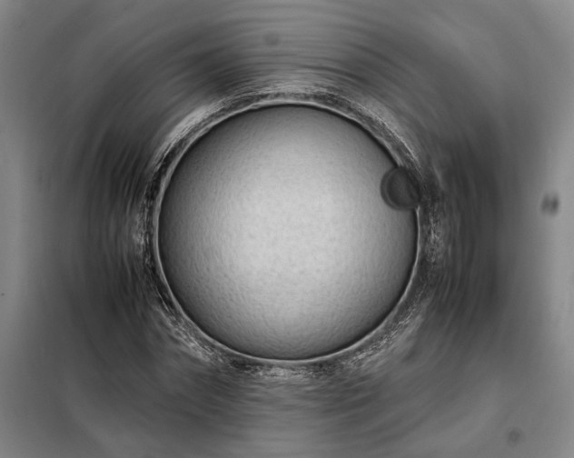 X0000098220874200805011232