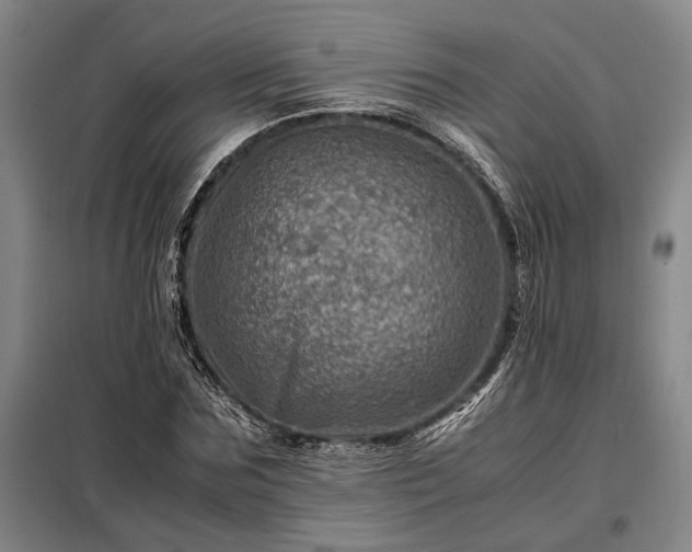 X0000098220875200805011232