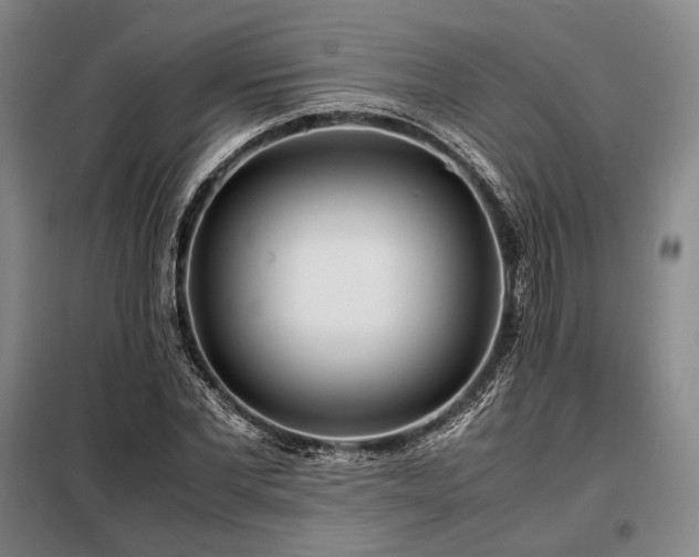 X0000098220877200805011232