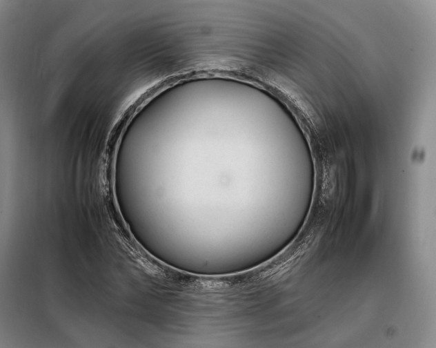 X0000098220878200805011232