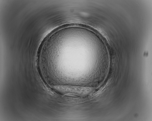 X0000098220879200805011232