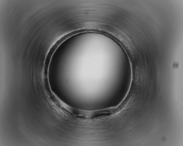 X0000098220880200805011232