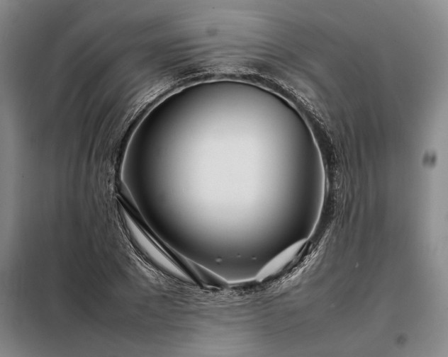 X0000098220881200805011232