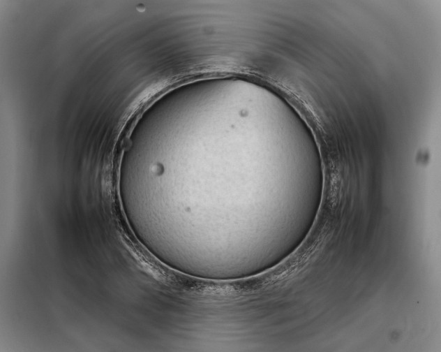 X0000098220882200805011231