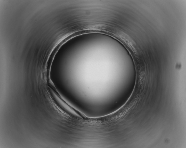 X0000098220884200805011231