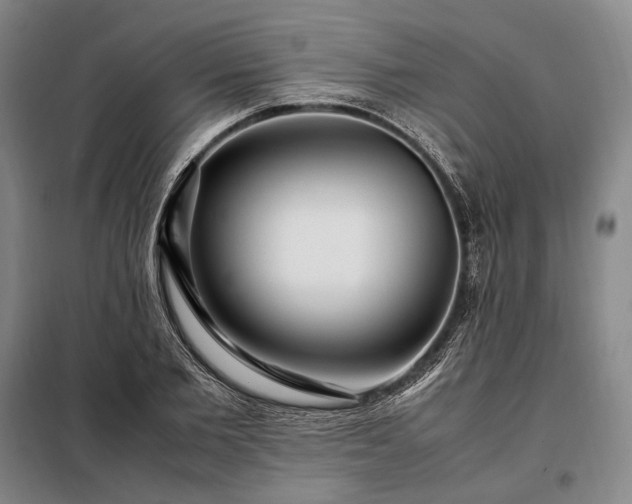 X0000098220885200805011231