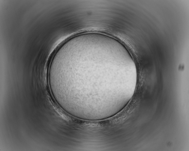 X0000098220886200805011231