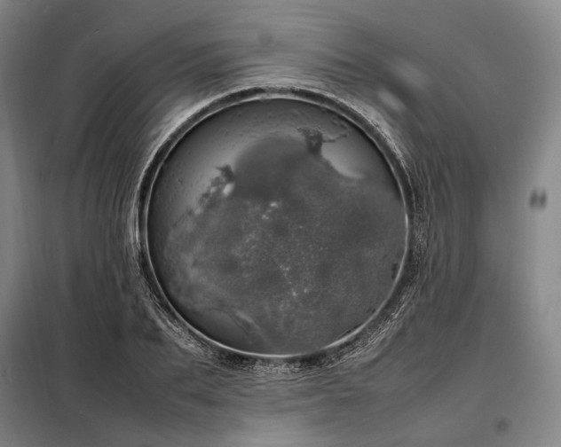 X0000098220887200805011231