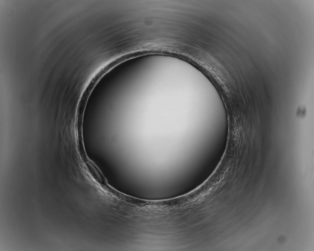 X0000098220888200805011231