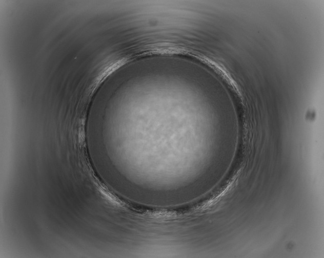 X0000098220889200805011231