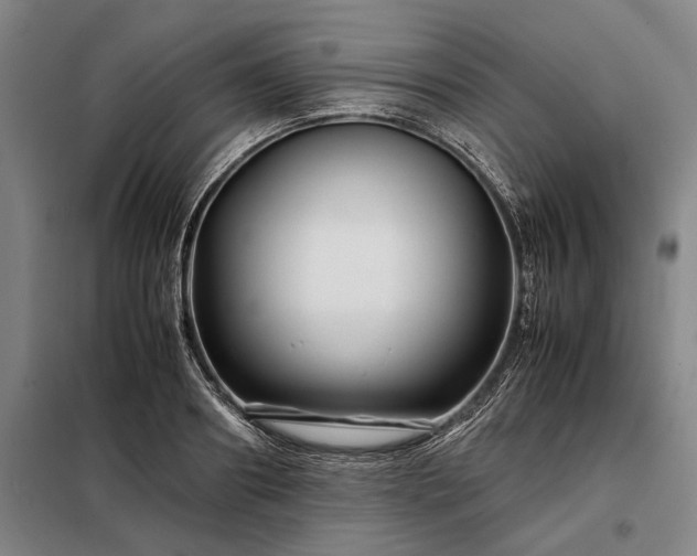 X0000098220890200805011231