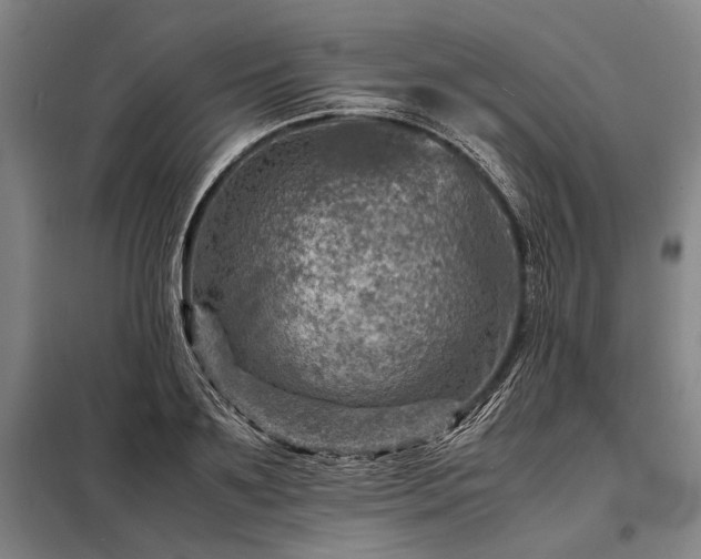 X0000098220891200805011231