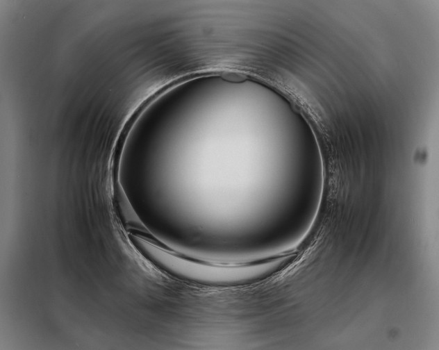 X0000098220892200805011231