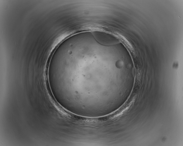 X0000098220893200805011231