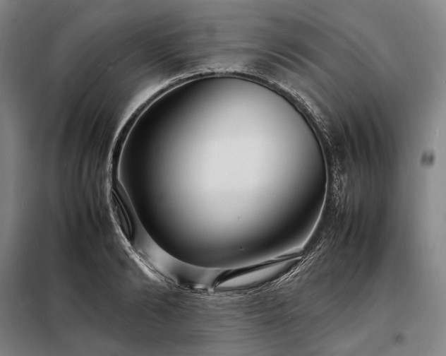 X0000098220894200805011231