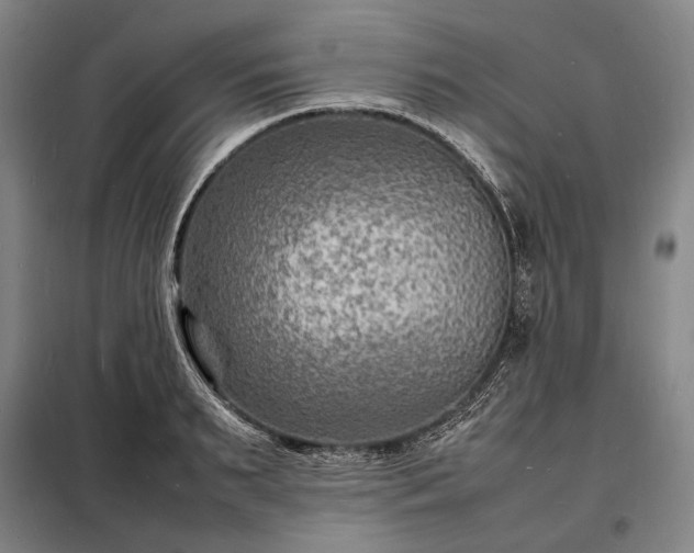 X0000098220895200805011231