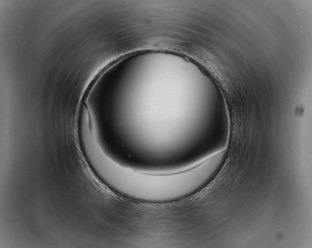 X0000098220896200805011231